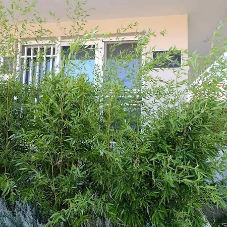 Christina's Garden House *