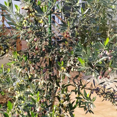 דירה Christina's Garden House