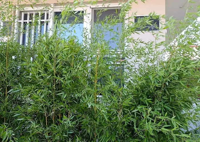 Christina's Garden House *